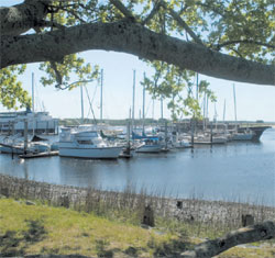 Sailboats in their slips on the Georgia coast